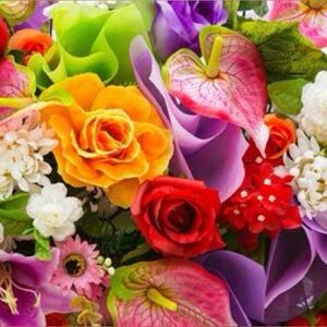 Meet your Posher, Michelle